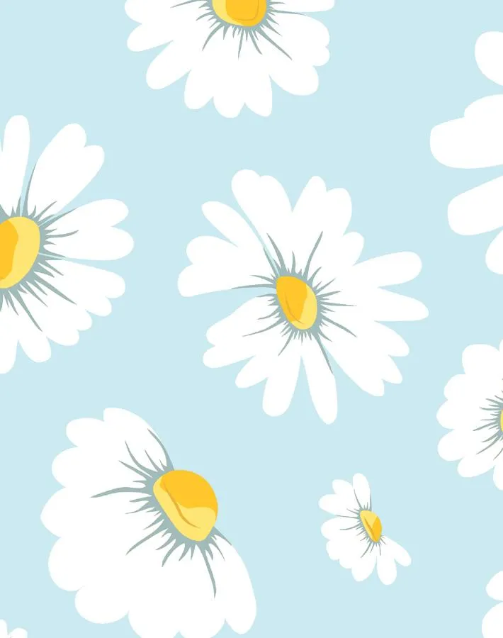 Daisy Bloom Wallpaper